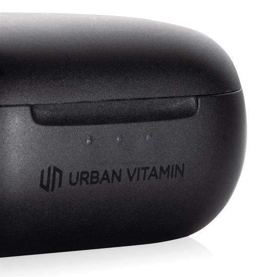 Öronsnäckor Urban Vitamin Gilroy med tryck Svart